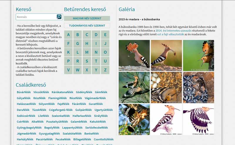 Magyarország madárfajait összefoglaló internetes portál